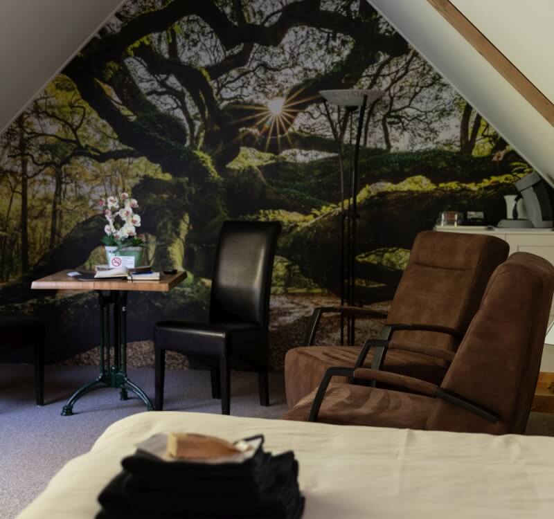 Voorbeeld van een kamer van Hotel 't Welink, hotel in de Achterhoek