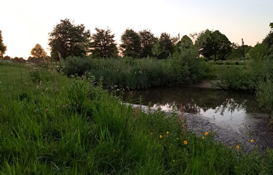 Wandelen in de Achterhoek