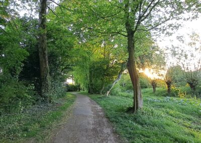 Fietspad in de Achterhoek