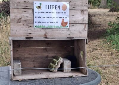 Achterhoek op duofiets - verse eitjes te koop