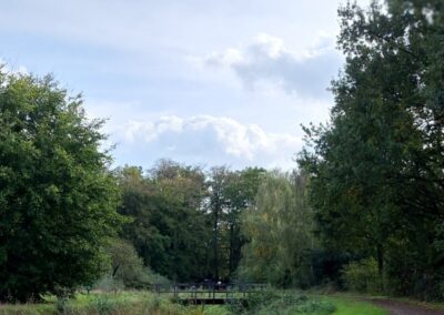 Wandelpad met bruggetje